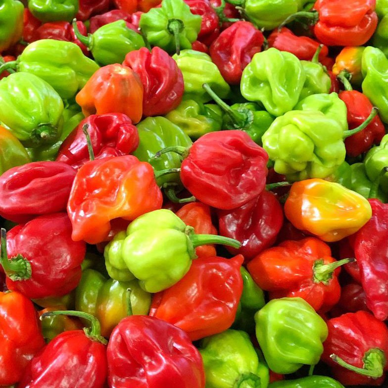 Ají Habanero